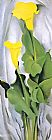 Yellow Canvas Paintings - Yellow Calla Lily